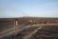 Tourists walk across lava fields at Erta Ale volcano Afar depression Ethiopia, Africa