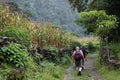 Tourists with backpacks walk through the jungle past corn fields in the vicinity of Jomsom in Nepal