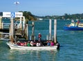 Tourists at Bay of Islands Royalty Free Stock Photo