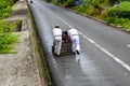 Carros de Cesto - Wicker Toboggan down the road in Madeira Island, Portugal