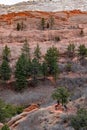 Tourists mountain biking in Colorado Red Rocks Open Space park