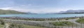 Tourists among blossoming lupin flowers at Tekapo lake shore, New Zealand