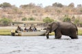 Tourists in a boat observe elephants along the riverside of Chobe River in Chobe National Park, Botswana