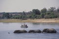Tourists on a boat watching African elephants crossing a river