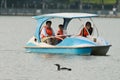 Tourists in a boat watching a bird