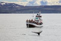 Tourists at boat for whale watching safari in artic sea, iceland Royalty Free Stock Photo