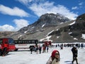 Tourists buses and tourists at Snow Dome Glacier, Canada Royalty Free Stock Photo