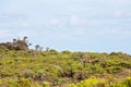 Tourists Bush Walking To See Natural Sights