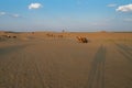 Tourists with camels, Camelus dromedarius, at sand dunes of Thar desert, Rajasthan, India. Camel riding is a favourite activity Royalty Free Stock Photo