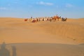 Tourists with camels, Camelus dromedarius, at sand dunes of Thar desert, Rajasthan, India. Camel riding is a favourite activity Royalty Free Stock Photo