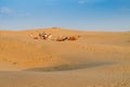 Tourists with camels,  Camelus dromedarius, at sand dunes of Thar desert, Rajasthan, India. Camel riding is a favourite activity Royalty Free Stock Photo