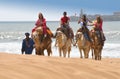 Tourists on camels - Morocco Essaouira Beach