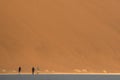 Tourists on a clay pan. Deadvlei. Royalty Free Stock Photo