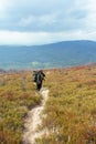 Tourists climb to the top of Runa mountain in Carpathians Royalty Free Stock Photo