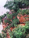 Tourists climbing Leshan Giant Buddha statue cliff