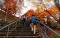 Tourists climbing the steps to the entrance of a park in Kyoto, with fiery maple trees along the staiway Royalty Free Stock Photo