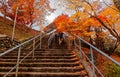 Tourists climbing the steps to the entrance of a park in Kyoto, with fiery maple trees along the staiway