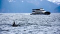 Cruise ship in Kenai Fjords National Park, Alaska, USA Royalty Free Stock Photo