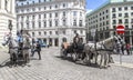 Tourists discover the Vienna Capital by Horseback