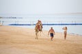 Tourists drive their children on a camel on the beach near the red sea in Sharm El Sheikh, South Sinai, Egypt Royalty Free Stock Photo