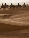 Tourists on dromedaries, Sahara, Tunisia