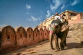 Tourists on elephant Royalty Free Stock Photo