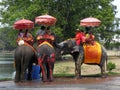 Tourists on an elephant ride tour of the ancient city on April 14, 2012 in Ayutthaya Royalty Free Stock Photo