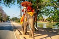 Tourists on an elephant ride tour Royalty Free Stock Photo