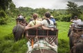 Tourists elephant riding in Chiang Mai Thailand