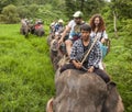 Tourists elephant riding in Chiang Mai Thailand