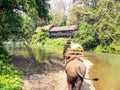 Tourists elephant trekking