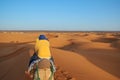 Tourists enjoy camel riding in Sahara desert Royalty Free Stock Photo