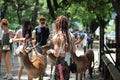 Tourists enjoy the cookies with deer on sideway. Royalty Free Stock Photo