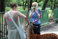 Tourists enjoy the cookies with deer on sideway. Royalty Free Stock Photo