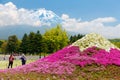 Tourists enjoy sunlight & scenery of Shibazakura Moss Phlox flower fields with majestic mountain in background