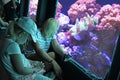 Tourists enjoy view from window underwater with corals Royalty Free Stock Photo