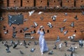 Tourists enjoy watching birds at tha Phae Gate in Chiang Mai Royalty Free Stock Photo