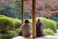 Tourists enjoy watching maple leaf in zen garden at Japanese temple Royalty Free Stock Photo
