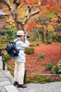 Tourists enjoy watching maple leaf in zen garden at Japanese temple Royalty Free Stock Photo