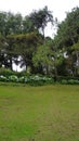 Tourists enjoying the beautiful kodaikanal Bryant park Royalty Free Stock Photo