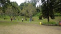 Tourists enjoying the beautiful kodaikanal Bryant park Royalty Free Stock Photo