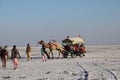 Tourists enjoying camel cart at Rann of Kutch festival - Rann utsav - white desert - Gujarat tourism - India travel Royalty Free Stock Photo