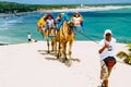 Dunes of Genipabu Natal Rio Grande do Norte Brazil Royalty Free Stock Photo