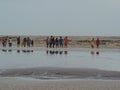 Tourists enjoying at Dandi Beach at dawn - reflections - Gujarat tourism - India beach holiday - Historical Royalty Free Stock Photo