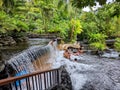 Tourists enjoying the hot springs of Tabacon in Costa Rica Royalty Free Stock Photo