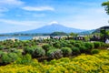 Tourists enjoying mount Fuji view from Oishi park at the Lake Kawaguchiko Japan Royalty Free Stock Photo