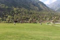 Tourists enjoying a walk in the beautiful Betaab Valley in Pahalgam, Kashmir