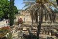Tourists explore the ancient city of Capernaum