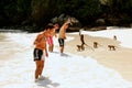 Tourists feeding crab-eating macaques at the beach on Phi Phi Do