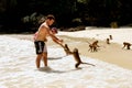 Tourists feeding crab-eating macaques at the beach on Phi Phi Do Royalty Free Stock Photo